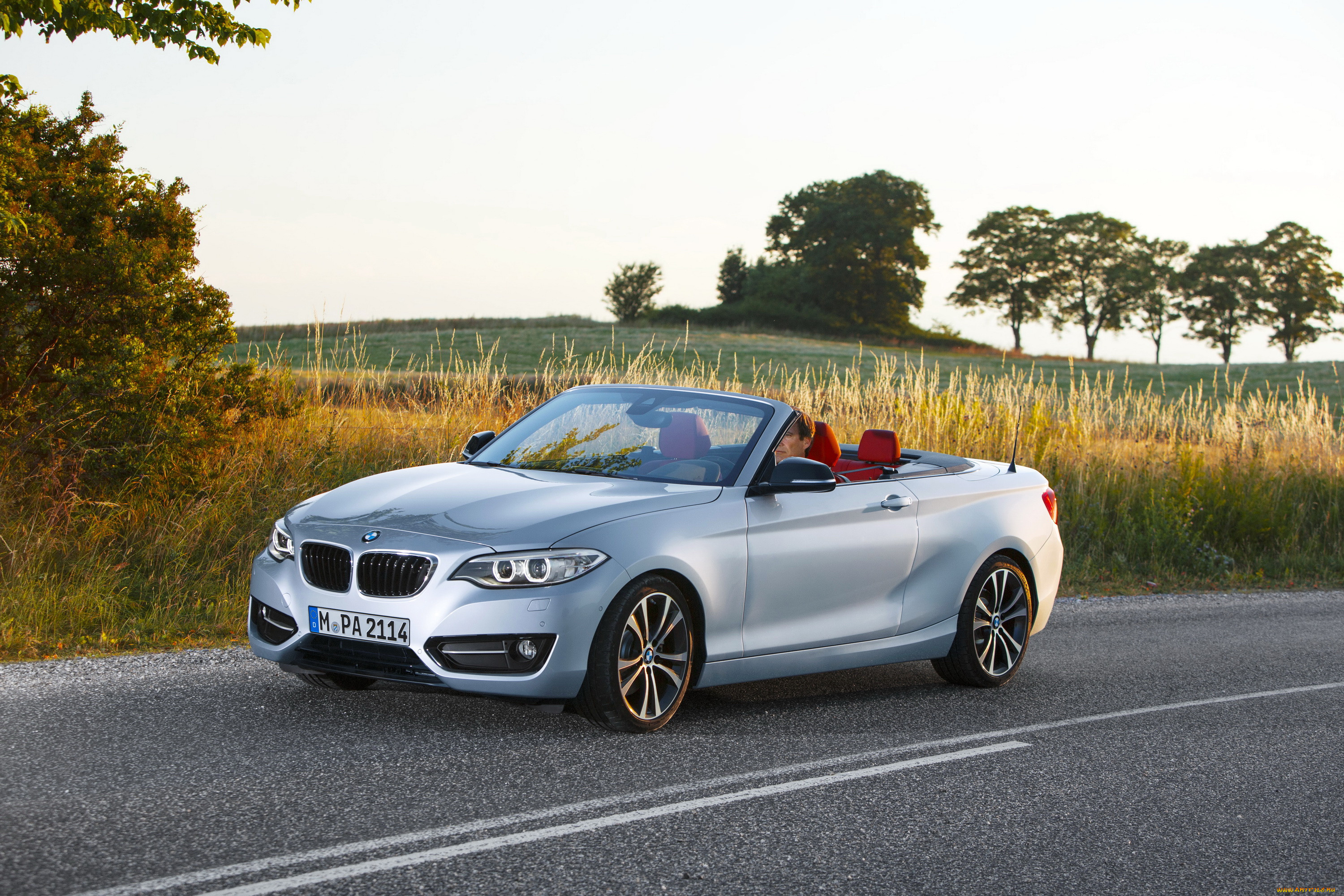 2014 bmw 228i f23 convertible, , bmw, , , 